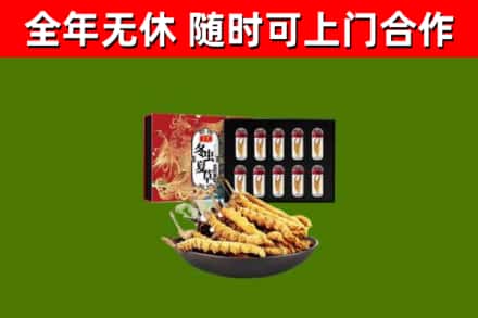 绵阳市回收冬虫夏草价格