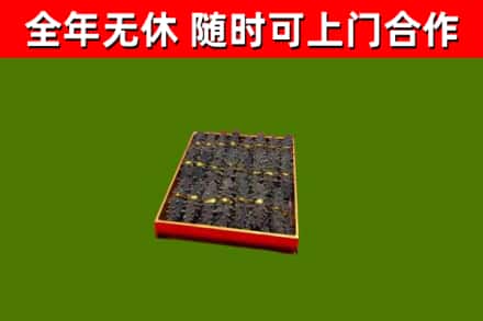 绵阳市回收海参